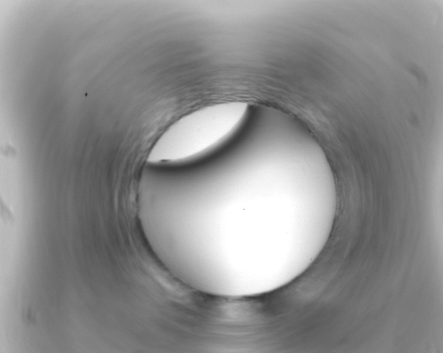 X0000091240336200708091135