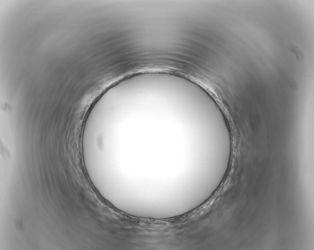 X0000091240337200708091135
