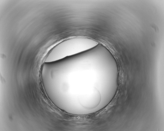 X0000091240338200708091135