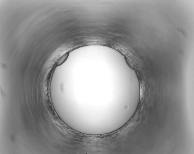 X0000091240339200708091135