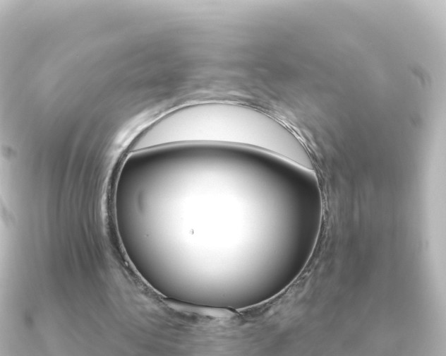 X0000091240340200708091135