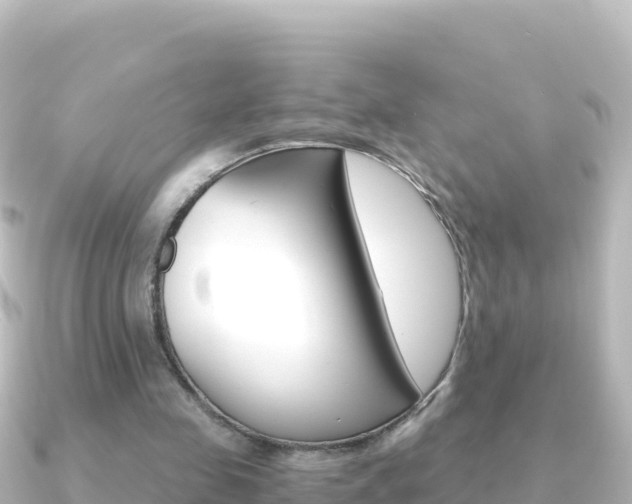 X0000091240341200708091135