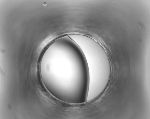 X0000091240344200708091135