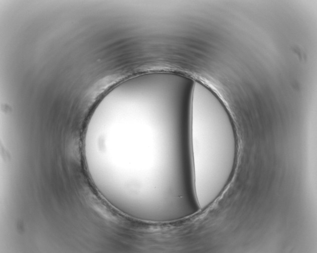 X0000091240345200708091135