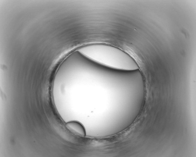 X0000091240346200708091135
