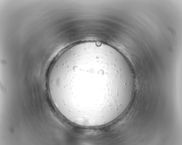 X0000091240347200708091135