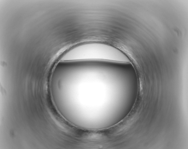X0000091240348200708091135