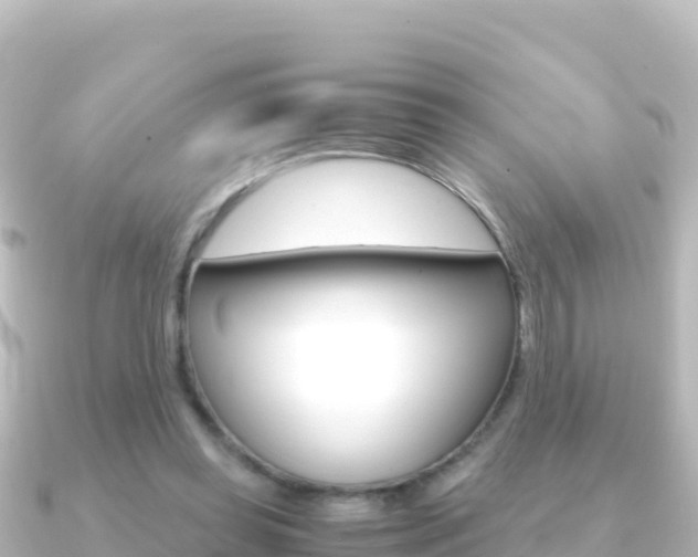 X0000091240349200708091135