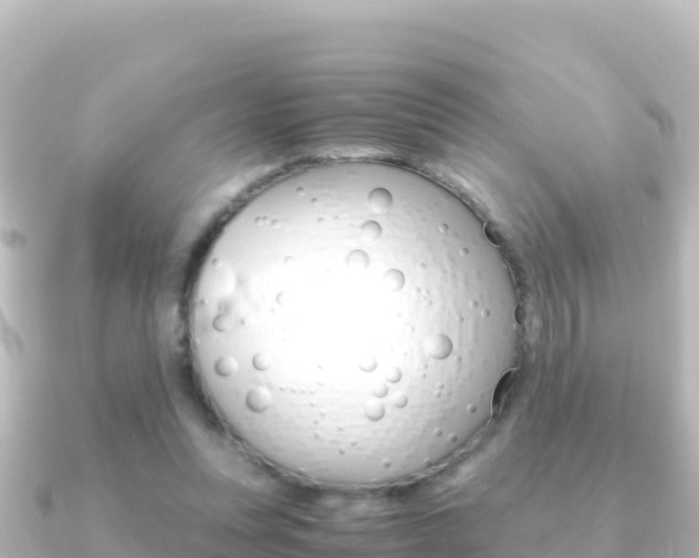 X0000091240351200708091135