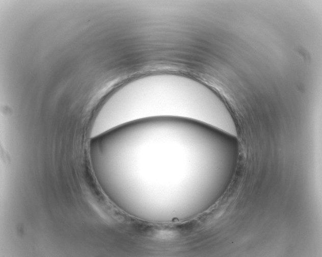X0000091240352200708091135