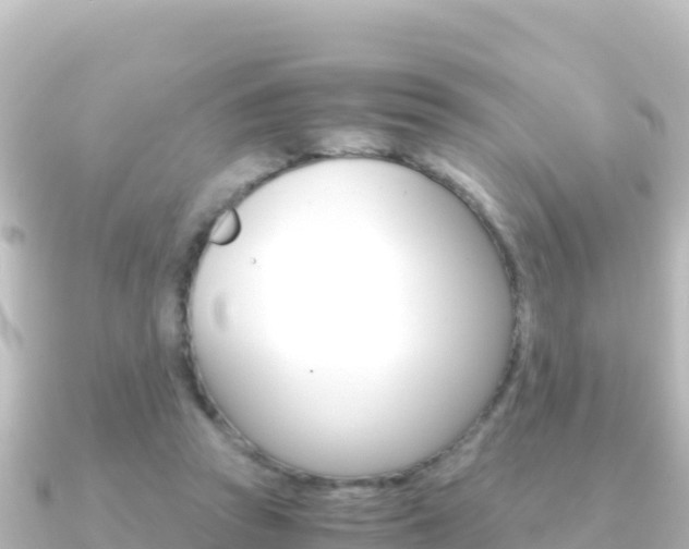 X0000091240353200708091135