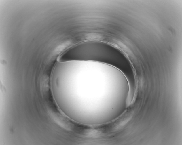 X0000091240356200708091135