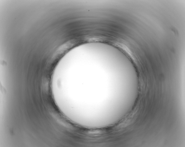 X0000091240357200708091135