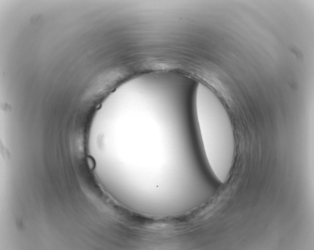 X0000091240358200708091135
