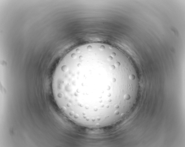 X0000091240359200708091135