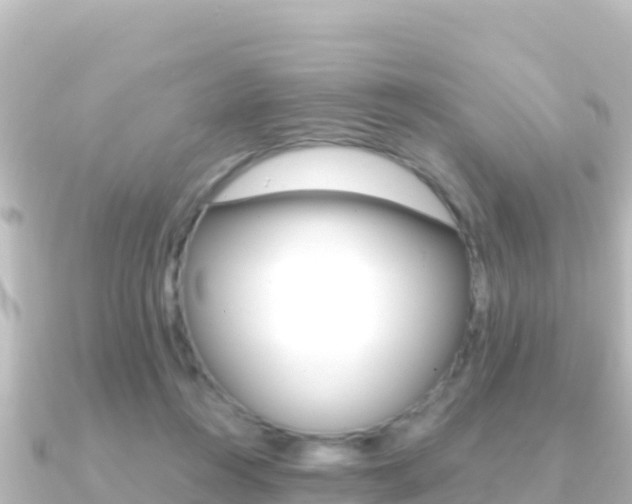 X0000091240360200708091135