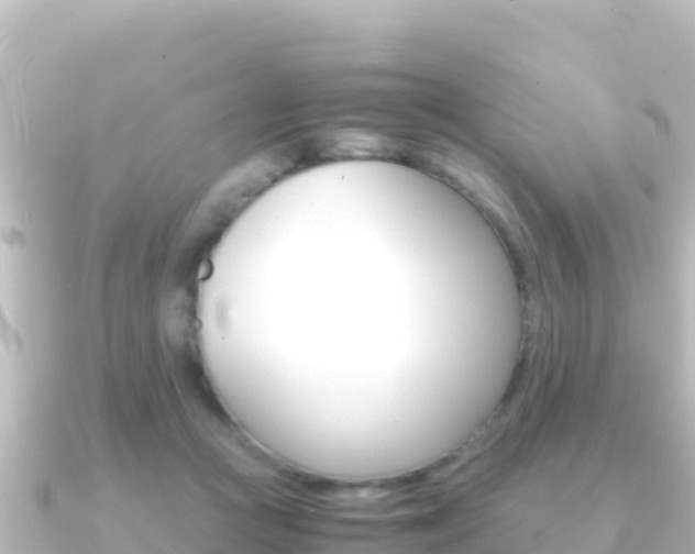 X0000091240361200708091135