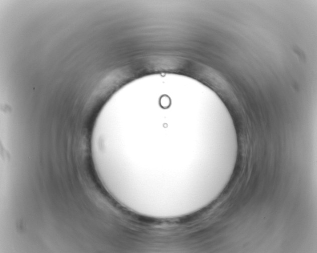 X0000091240362200708091135