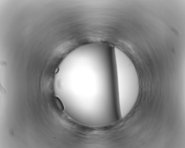 X0000091240364200708091135