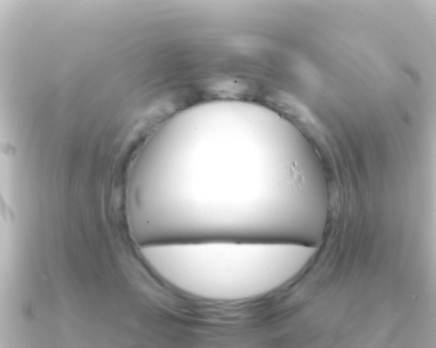 X0000091240365200708091135
