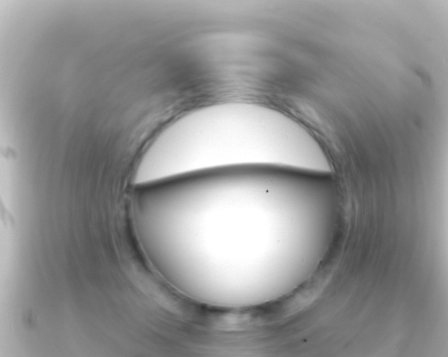 X0000091240366200708091135