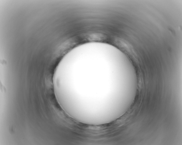 X0000091240367200708091135