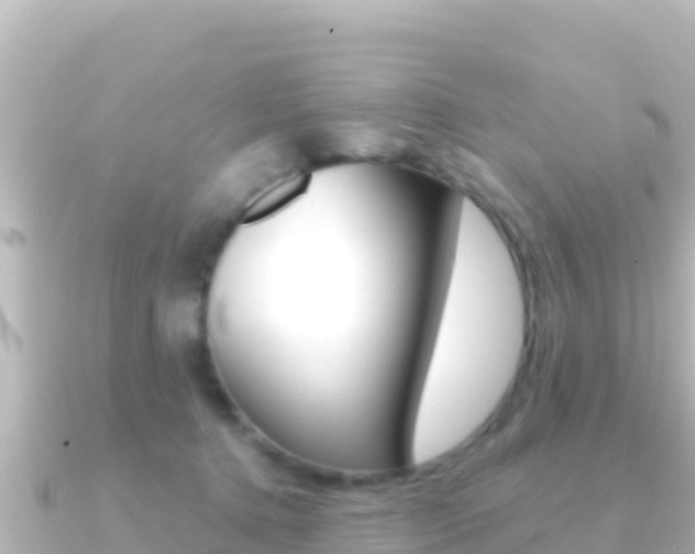 X0000091240368200708091135