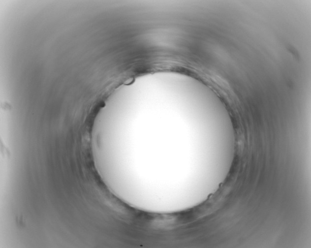 X0000091240369200708091135