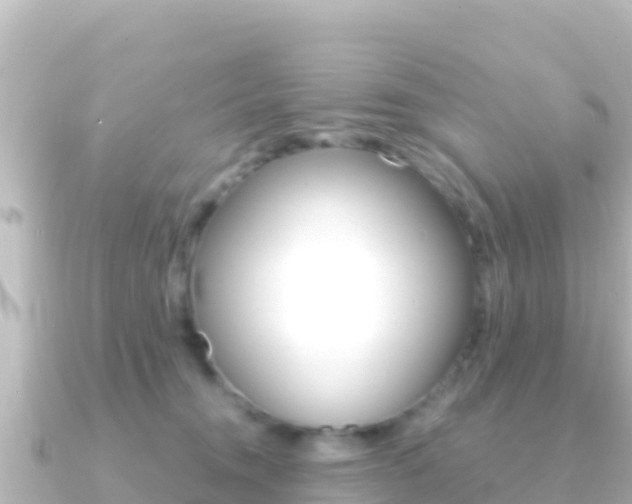 X0000091240372200708091135