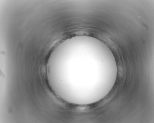 X0000091240375200708091135
