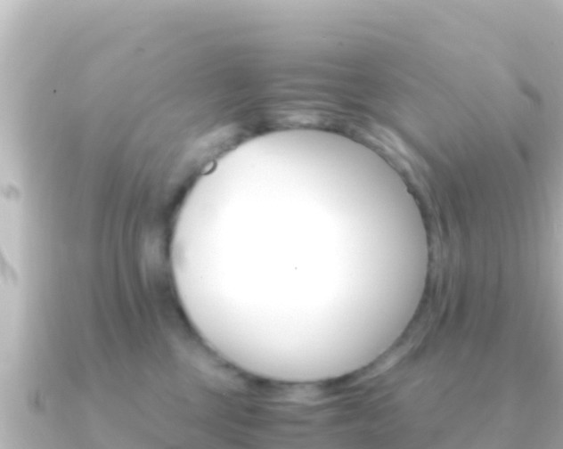 X0000091240377200708091135