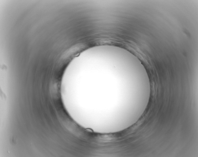 X0000091240378200708091135