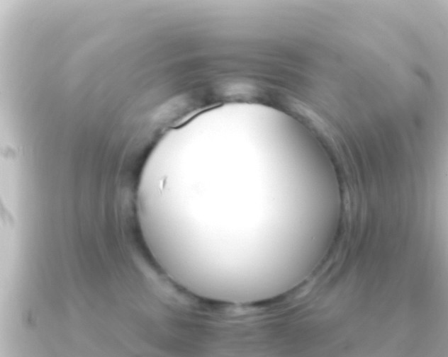X0000091240379200708091135