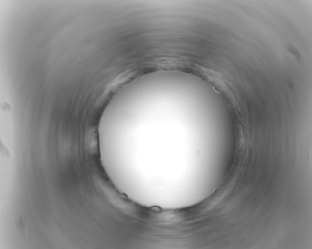 X0000091240383200708091135