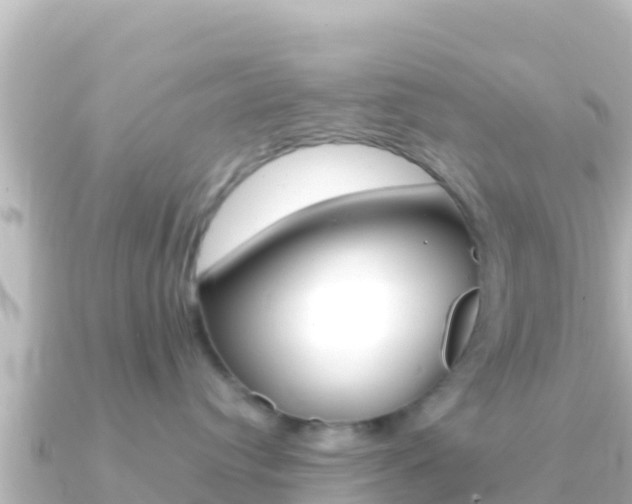 X0000091240384200708091135