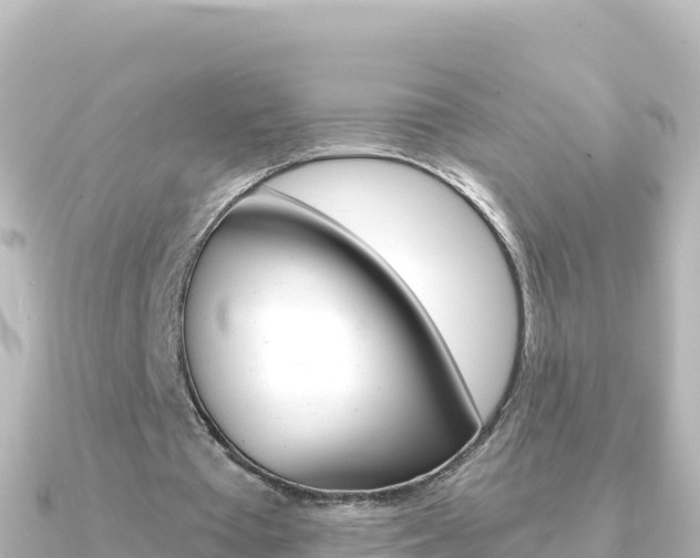 X0000091240385200708091135