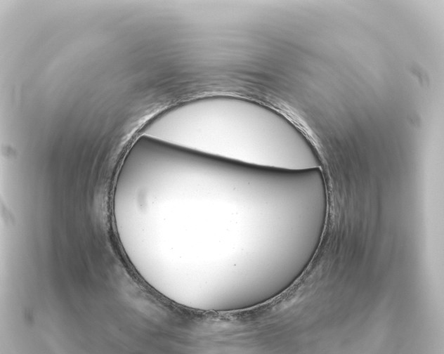 X0000091240386200708091135