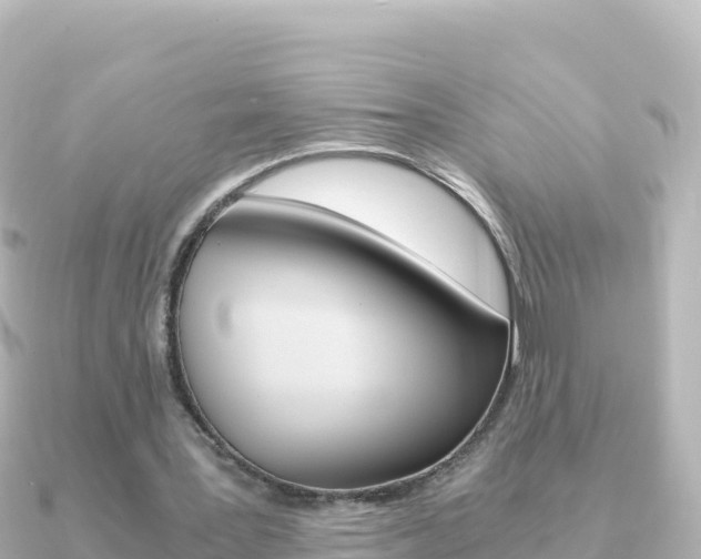 X0000091240387200708091135