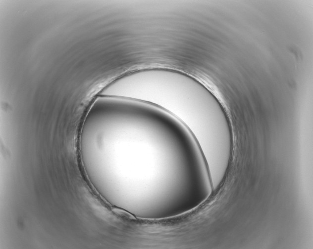 X0000091240389200708091135