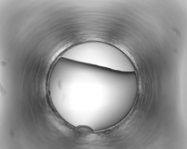 X0000091240390200708091135