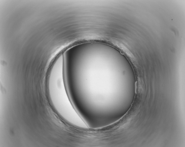 X0000091240391200708091135
