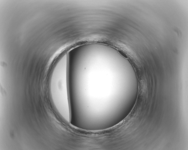 X0000091240392200708091135