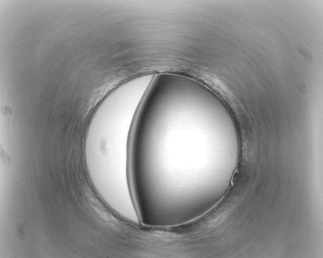 X0000091240393200708091135