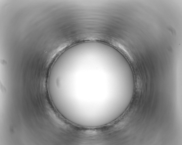 X0000091240394200708091135