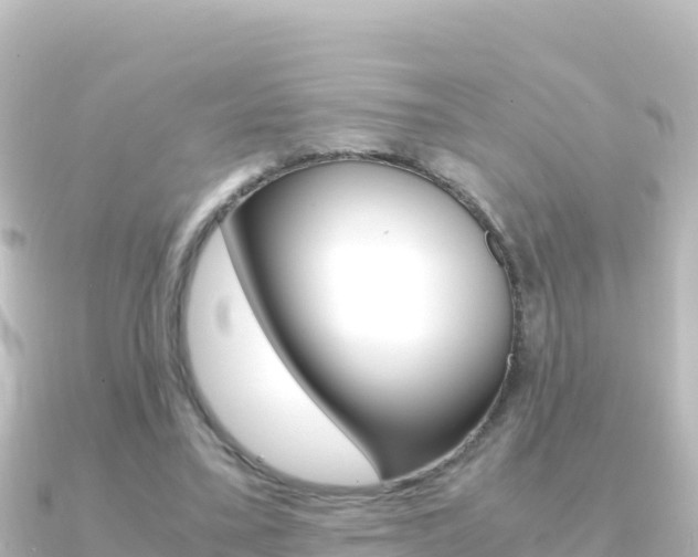 X0000091240395200708091135