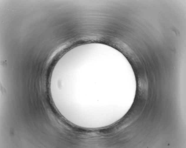 X0000091240396200708091135