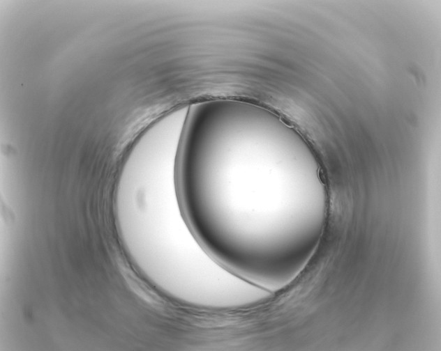 X0000091240397200708091135