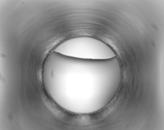 X0000091240398200708091135