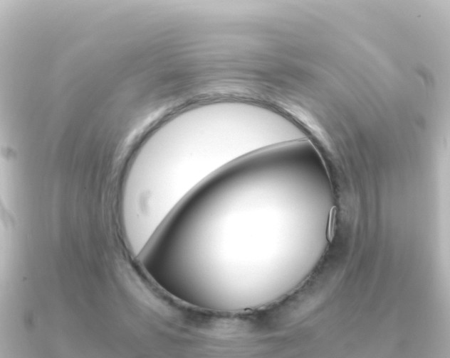 X0000091240399200708091135