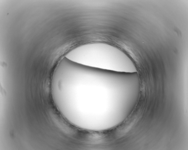 X0000091240402200708091134
